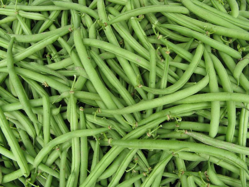Fresh green beans handled to preserve texture and freshness.