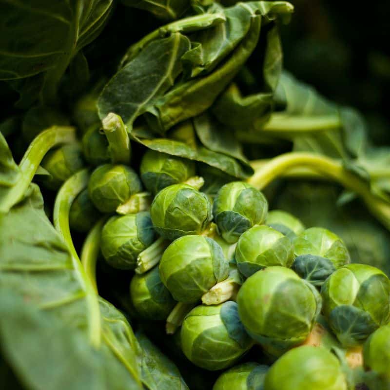 Fresh Brussels sprouts grown and selected for seasonal quality.