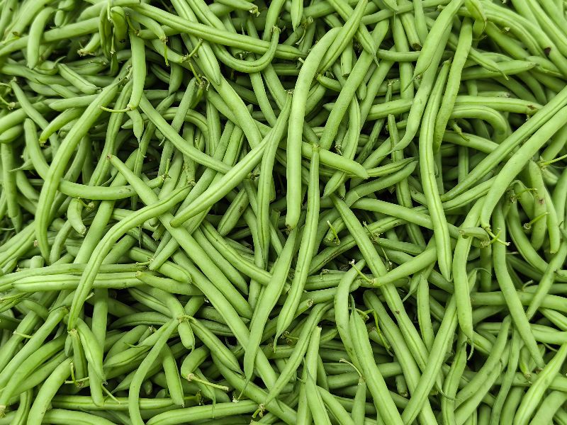 Fresh green beans handled to preserve texture and freshness.