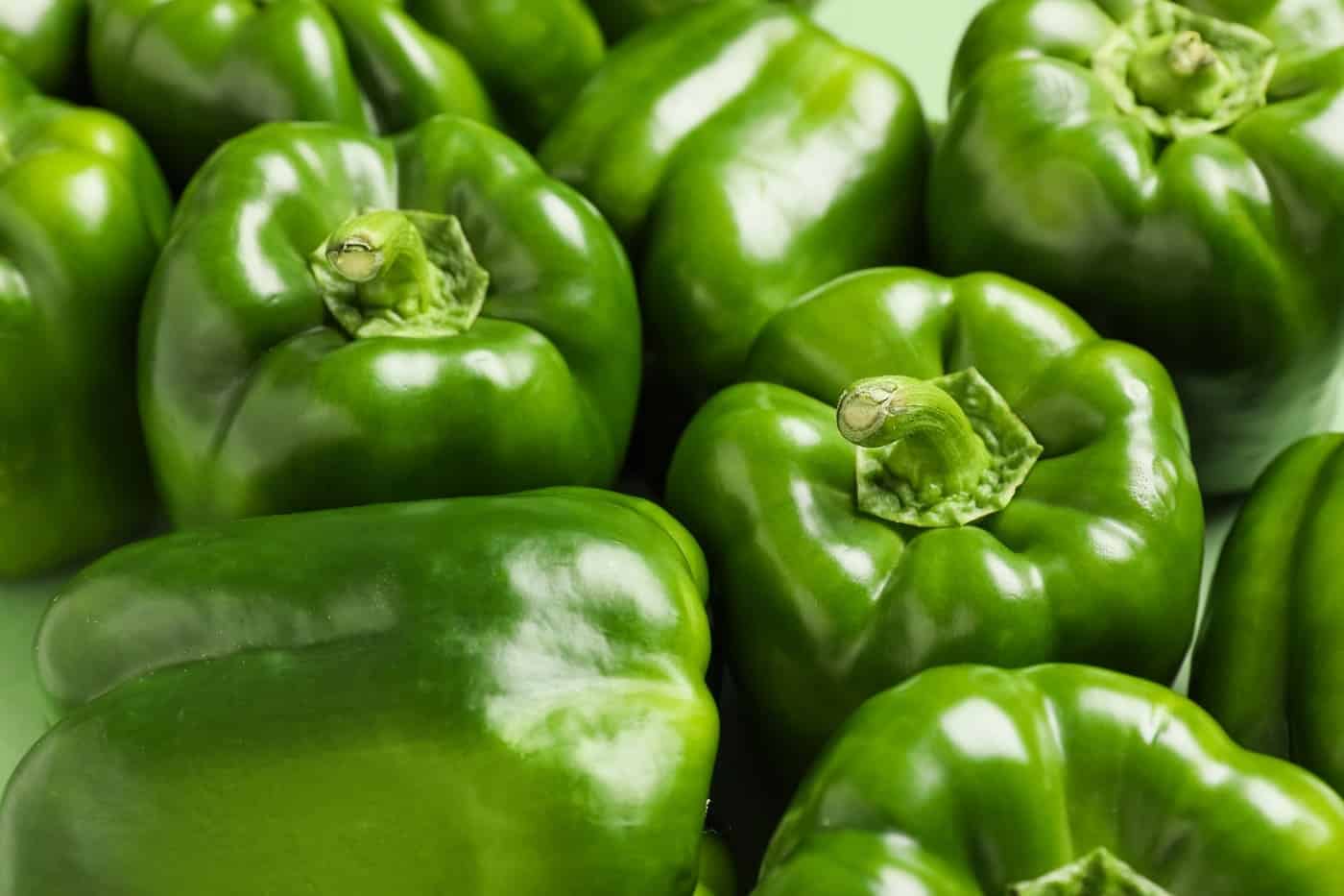 Fresh green bell peppers selected for quality and color.